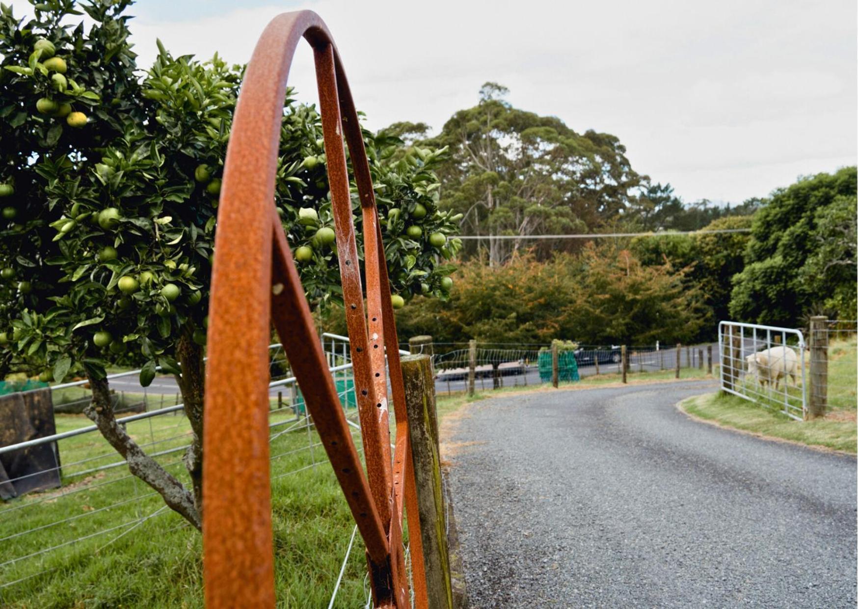 Hotel Minden Meadows Retreat Tauranga Esterno foto